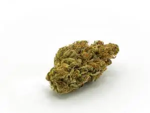 CBD flower Amnesia