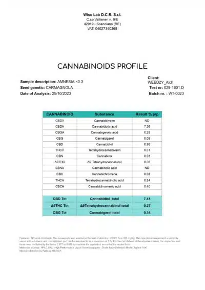 AMNESIA HAZE - CBD - Image 3