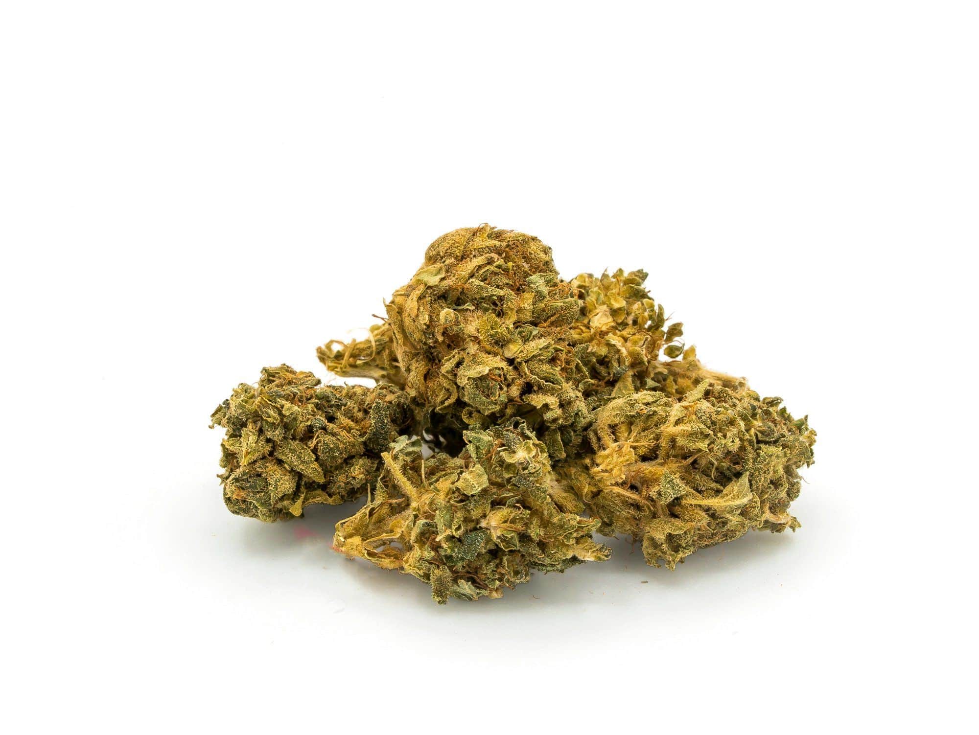 Flower Power CBD Flowers Get pure CBD hemp taste