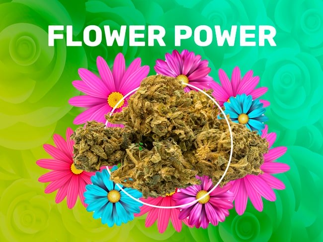 Flower Power CBD weedzy