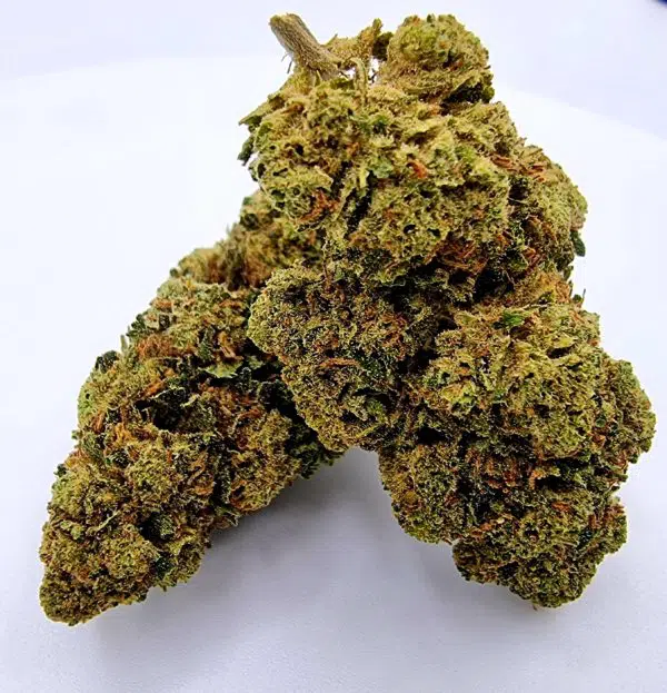 swiss cheese cbd weedzy