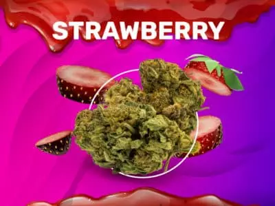 Strawberry CBD weedzy