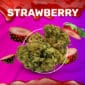 Strawberry CBD weedzy