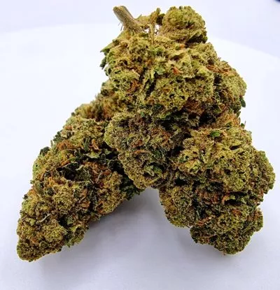 swiss cheese cbd weedzy