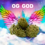 GOD-OG_Visuel
