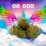 GOD-OG_Visuel