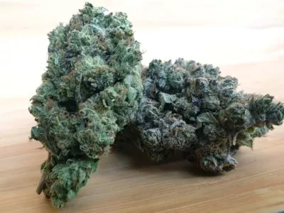 SUPER LEMON HAZE - CBD - Image 3