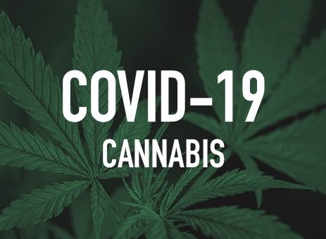 CBD vs COVID19