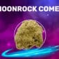 Moonrock Comet CBD