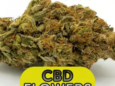 How to use CBD flowers
