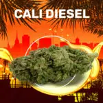 Cali Diesel Weedzy