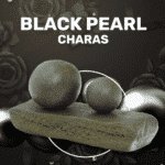 Black pearl charas weedzy