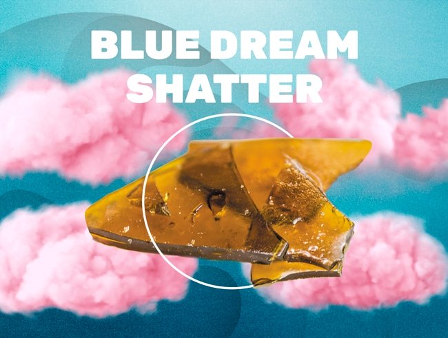 Shatter Blue Dream CBD weedzy