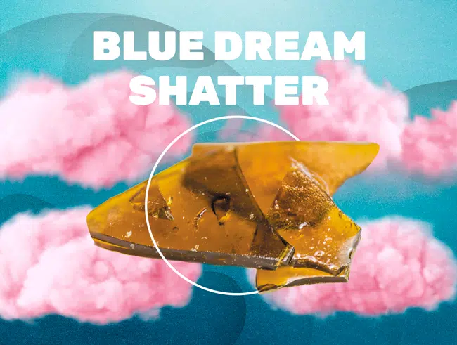 Blue Dream Shatter CBD weedzy