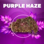 purple haze cbd weedzy