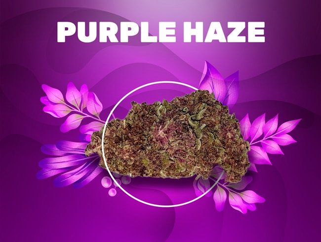 purple haze cbd weedzy