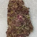 purple haze CBD weedzy