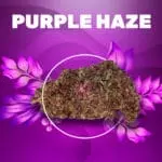 purple haze cbd weedzy