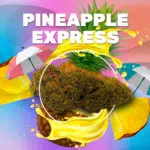 Pineapple express cbd weedzy