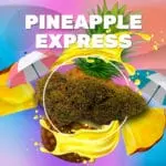 Pineapple express cbd weedzy