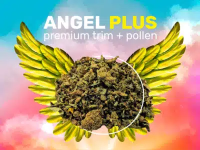 weedzy-angel-plus-trim-pollen