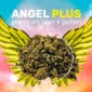 weedzy-angel-plus-trim-pollen